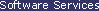 Software Services